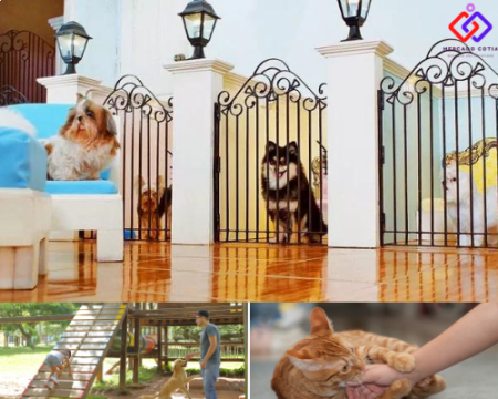 Hotel Pet